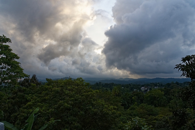 Kandy-Botanical garden-096